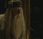 Halfblood-03421.jpg