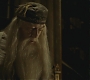 Halfblood-03424.jpg