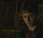 Halfblood-03426.jpg