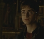 Halfblood-03428.jpg