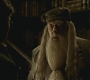 Halfblood-03433.jpg