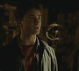 Halfblood-03434.jpg
