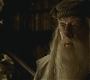 Halfblood-03439.jpg