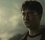 Halfblood-03490.jpg