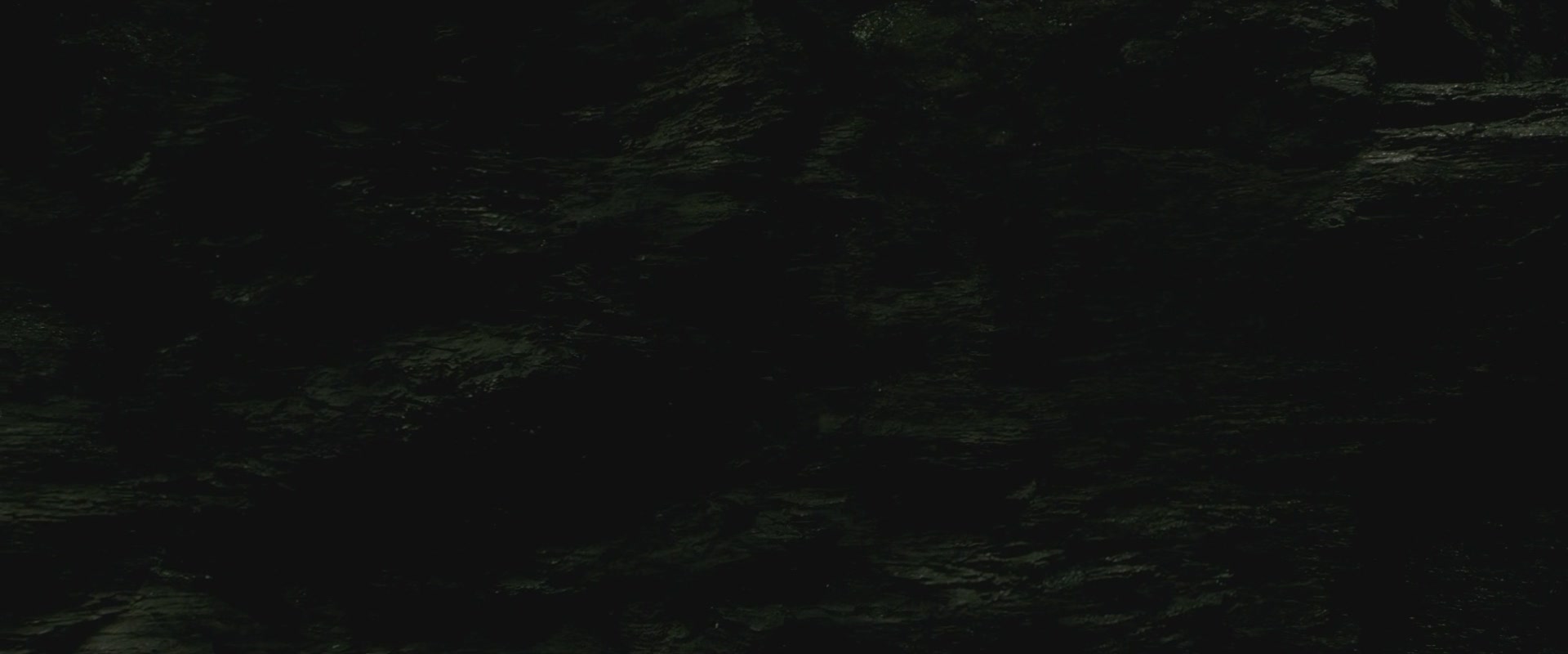 Halfblood-03546.jpg
