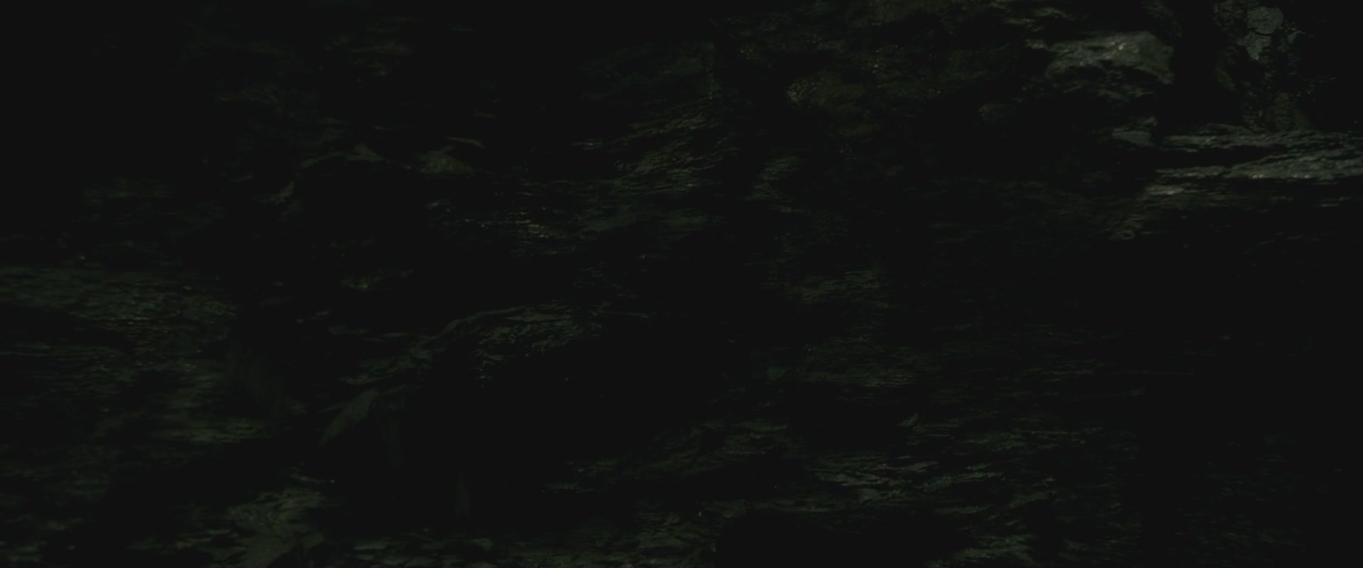 Halfblood-03547.jpg