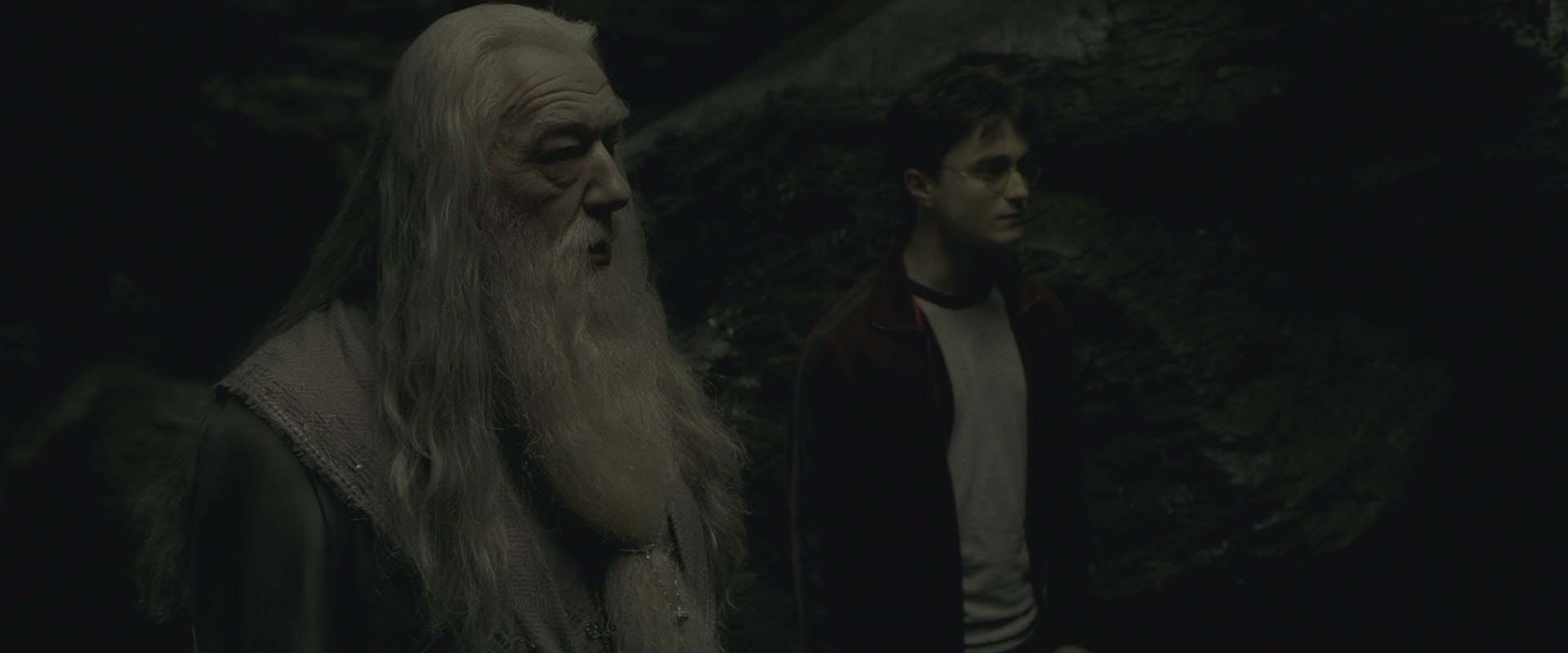 Halfblood-03550.jpg