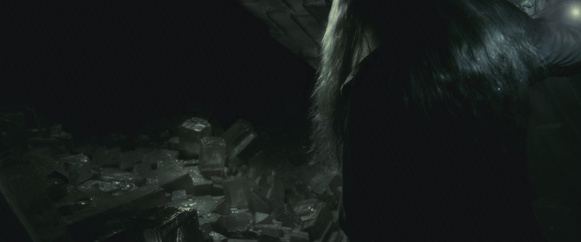 Halfblood-03554.jpg