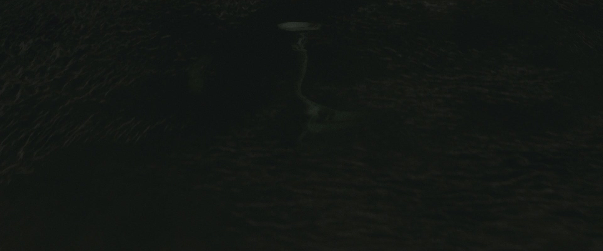 Halfblood-03590.jpg