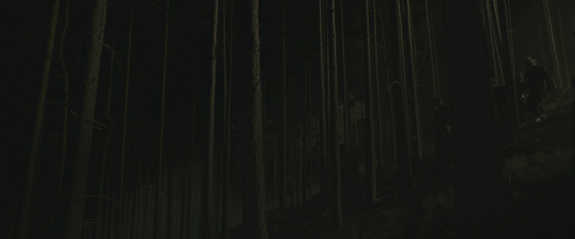Halfblood-03981.jpg
