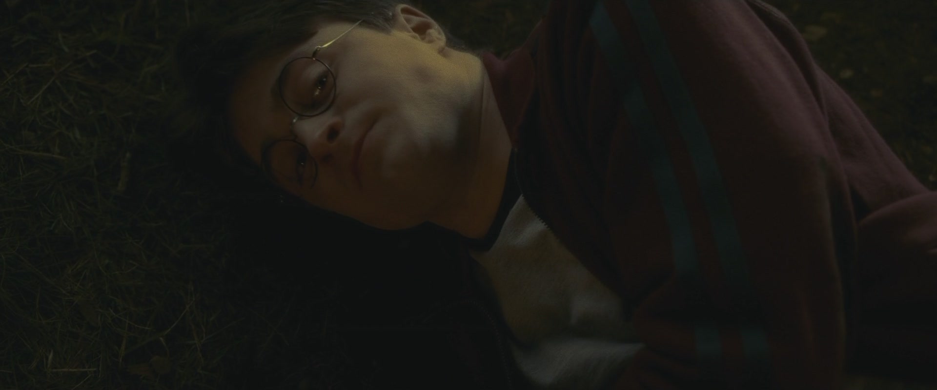Halfblood-04015.jpg