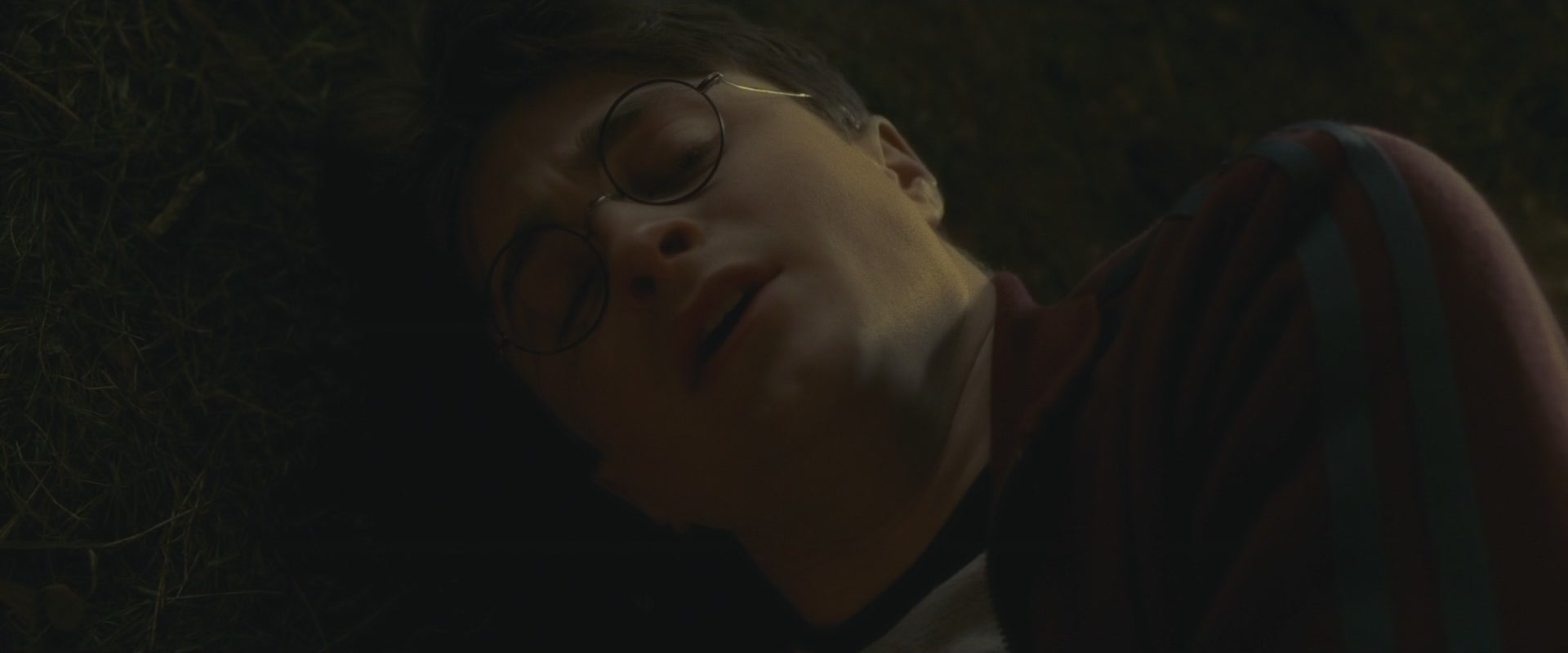 Halfblood-04019.jpg