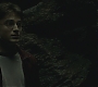 Halfblood-03539.jpg