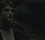 Halfblood-03541.jpg