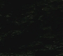 Halfblood-03547.jpg