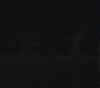 Halfblood-03567.jpg