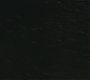 Halfblood-03589.jpg