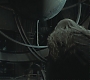 Halfblood-03841.jpg