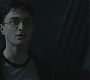 Halfblood-03851.jpg