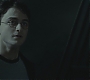 Halfblood-03854.jpg