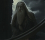 Halfblood-03875.jpg