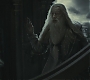 Halfblood-03889.jpg