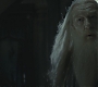 Halfblood-03896.jpg