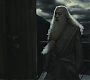 Halfblood-03921.jpg