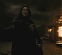 Halfblood-03994.jpg