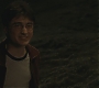 Halfblood-03995.jpg