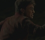 Halfblood-04008.jpg