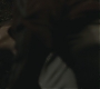 Halfblood-04010.jpg