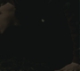 Halfblood-04012.jpg