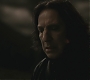 Halfblood-04021.jpg