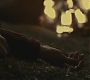 Halfblood-04025.jpg