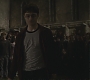 Halfblood-04037.jpg