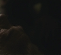 Halfblood-04045.jpg