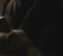 Halfblood-04047.jpg