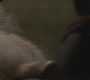 Halfblood-04050.jpg