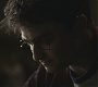 Halfblood-04053.jpg