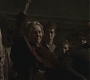 Halfblood-04073.jpg