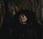 Halfblood-04081.jpg