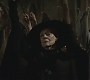 Halfblood-04082.jpg