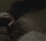 Halfblood-04094.jpg
