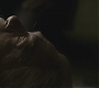 Halfblood-04100.jpg