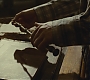 Halfblood-04129.jpg