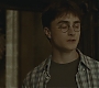 Halfblood-04143.jpg