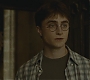 Halfblood-04148.jpg
