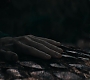 HOTN_0174.jpg