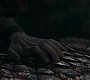 HOTN_0175.jpg